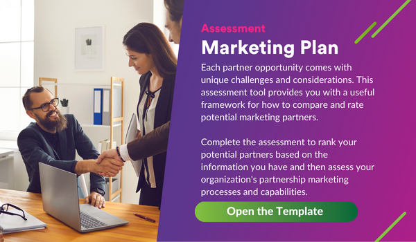 Download the Marketing Plan Assessment; Open the Template: 