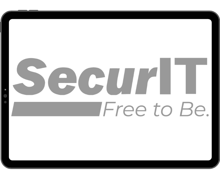 SecurIT portfolio graphic